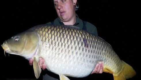 A carp from Brie, May 2018