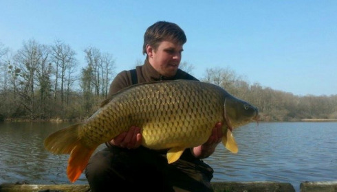 A carp from Brie, Mar 2016