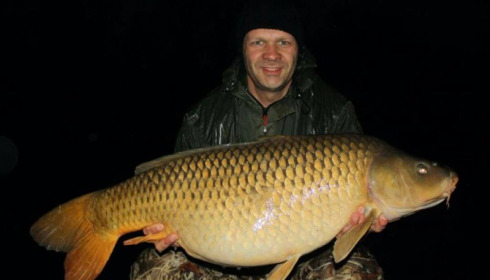 A carp from Brie, Apr 2016