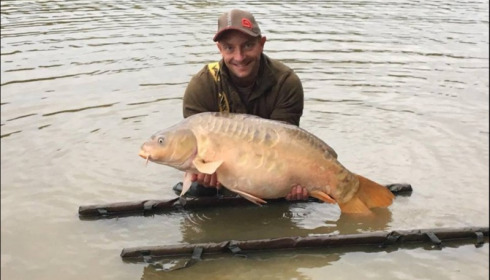 A carp from Brie, Sep 2018
