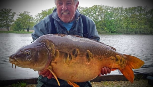 A carp from Brie, May 2015