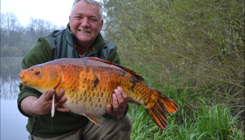 A carp from Brie, Apr 2019
