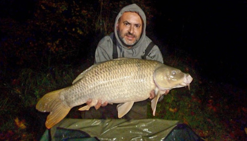 A 29 lb carp from Brie, Jason Ellis, Sep 2017