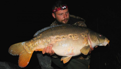 A carp from Brie, Jun 2014