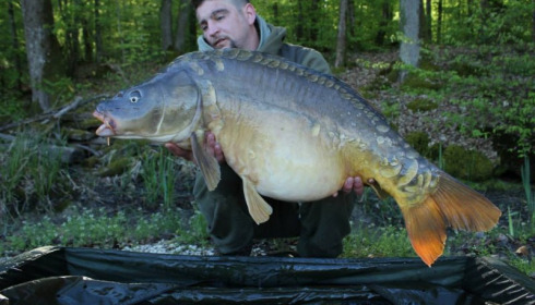 A carp from Brie, Apr 2014