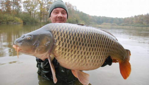 A carp from Brie, Nov 2016