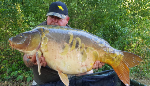 A carp from Brie, Tony, Aug 2020