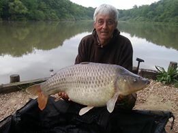 A carp from Brie, Shane Welch, May 2014