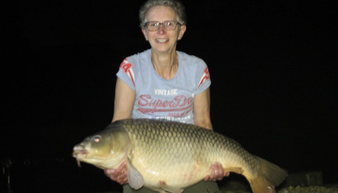 A carp from Brie, Sep 2021