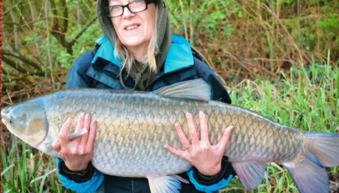 A 38 lb 4 oz grass carp from Brie, Mandy Brown, Apr 2018