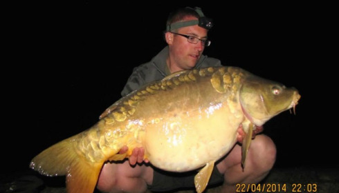 A carp from Brie, Apr 2014