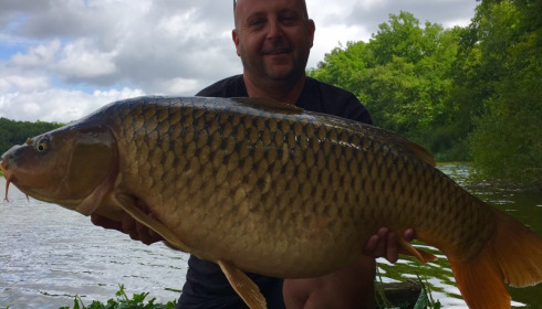 A carp from Brie, Alan Hicks, Jul 2017