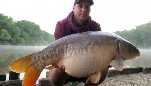 A carp from Brie, May 2014