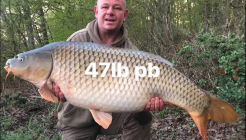 A 47 lb carp from Brie, Apr 2019