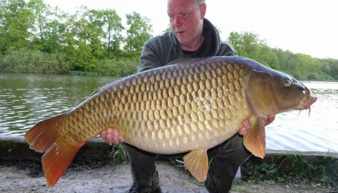 A carp from Brie, Apr 2018