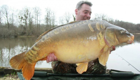 A carp from Brie, Mar 2017
