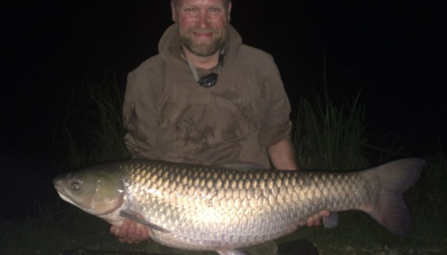 A carp from Brie, Nick Wilson, Aug 2016