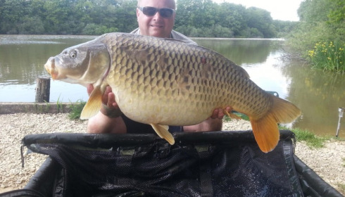 A carp from Brie, Shane Welch, May 2014