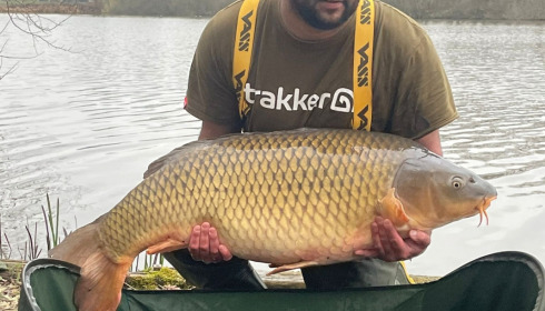 A carp from Brie, Mar 2022