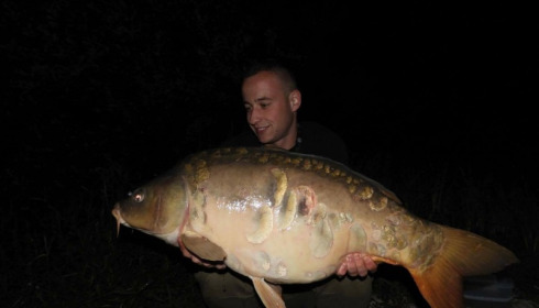 A carp from Brie, Aug 2017