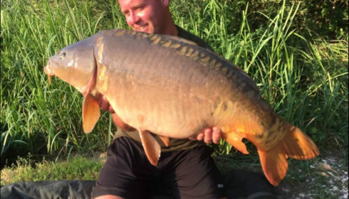A carp from Brie, Jul 2018