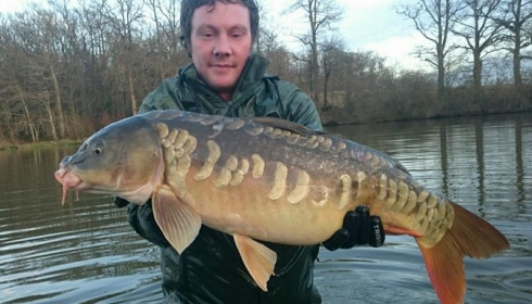 A carp from Brie, Jan 2016