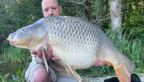 A carp from Brie, Aug 2022