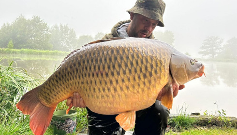 A carp from Brie, Aug 2023