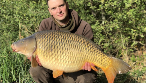 A carp from Brie, Neil Routledge, Sep 2018