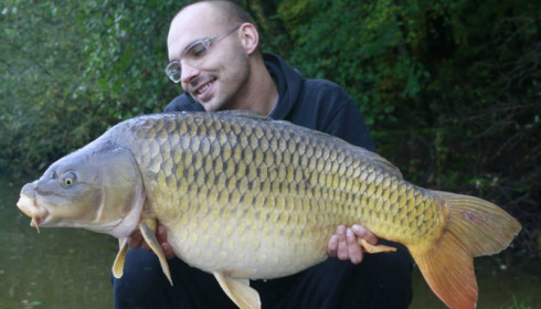 A carp from Brie, Oct 2014