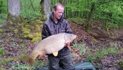 A carp from Brie, Apr 2016