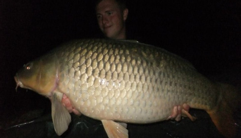 A carp from Brie, Aug 2014