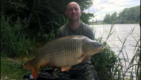 A carp from Brie, Jul 2017