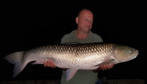A 29 lb grass carp from Brie, Mark Bambridge, Aug 2018