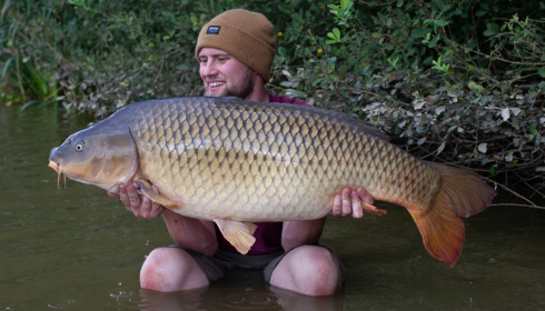 A fish from Brie, Aug 2021