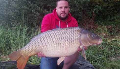 A carp from Brie, Sep 2016