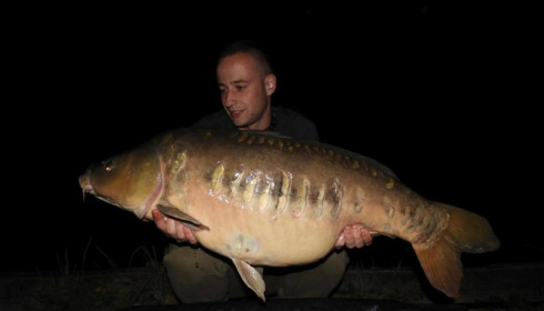A carp from Brie, Aug 2017