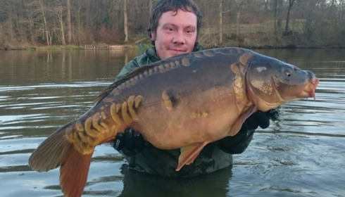 A carp from Brie, Jan 2016