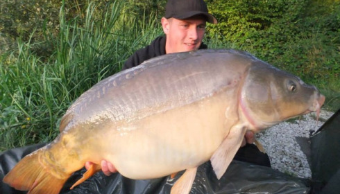 A carp from Brie, Aug 2014