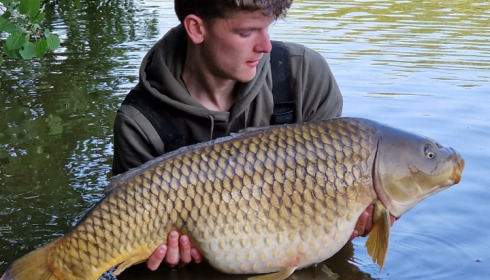 A carp from Brie, Jun 2023