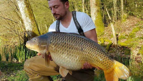 A carp from Brie, Apr 2017