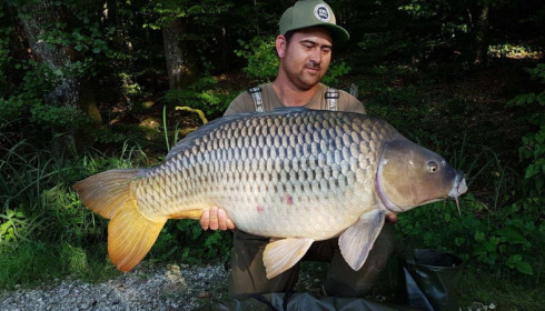 A carp from Brie, Sep 2017