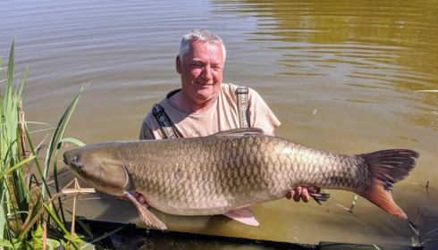 A carp from Brie, Apr 2018