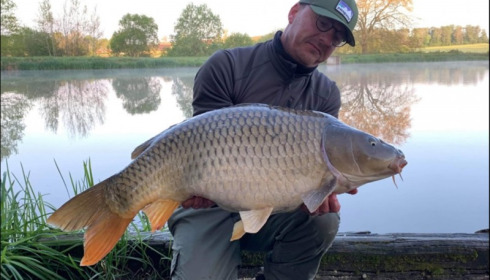 A carp from Brie, May 2019