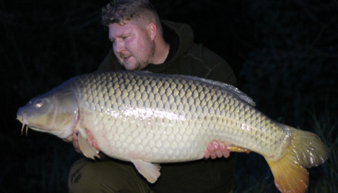 A carp from Brie, Sep 2021