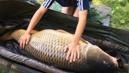 A carp from Brie, Hick's Party, Aug 2017
