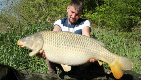 A carp from Brie, Apr 2014