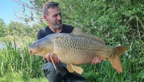 A carp from Brie, Jun 2023