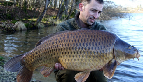 A 31 lb carp from Brie, Dean Randle, Mar 2015