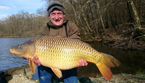 A carp from Brie, Apr 2015